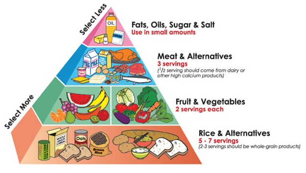 Healthy Diet Food Groups