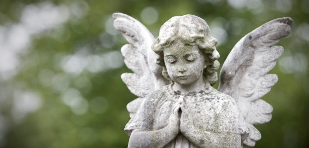 cherub