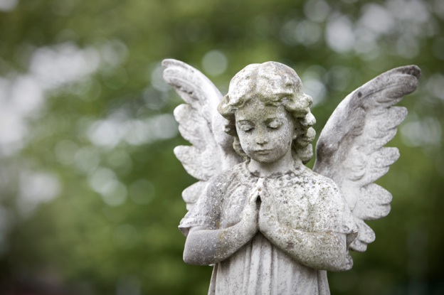 cherub