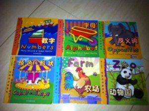 Chinese books (320x240).jpg