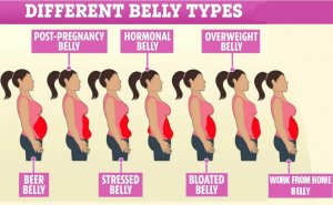 different belly fat.JPG
