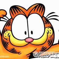 garfieldlsp1380