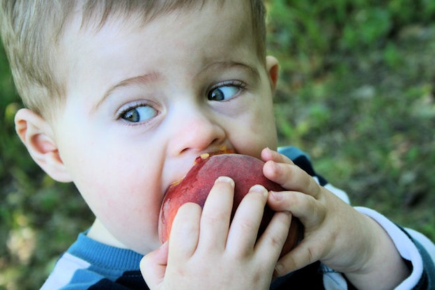 little-boy-eating-a-peach-1-1429637