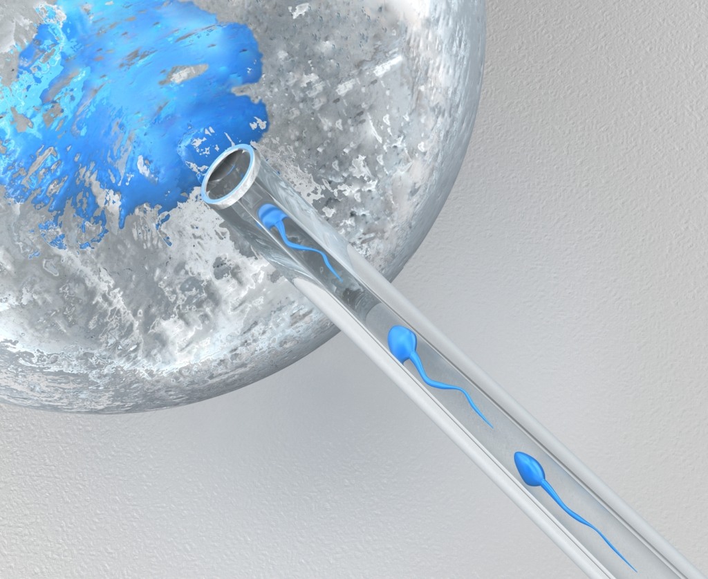 3d render. Egg cell and sperm isolated on grey background.