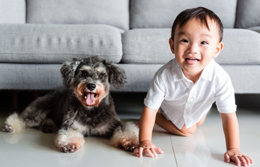 Kids and Pets: What’s the Ideal Pet for Your Family + Must-See Adorable ...