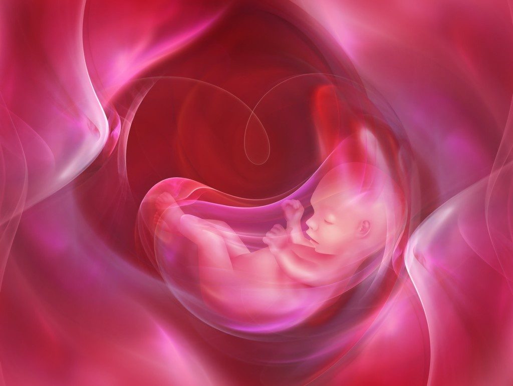 placenta-diagram-1024x771.jpg