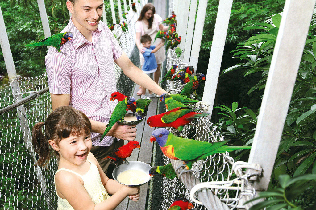 annual family passes - jurong bird park