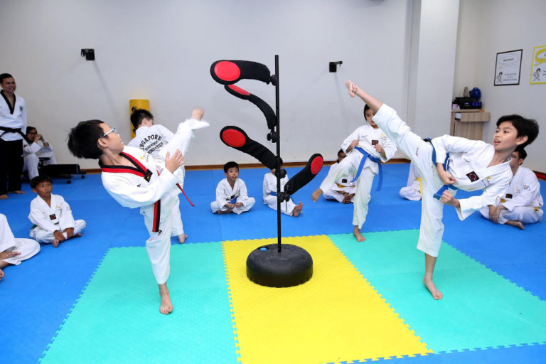 martial arts for kids - taekwondonomics
