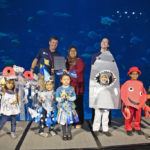 Ocean Fest at the S.E.A. Aquarium in RWS Sentosa this June School Holiday 2018