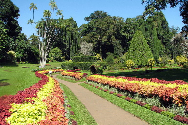 exotic family travel destinations - Peradeniya Royal Botanical Gardens, Kandy, Sri Lanka
