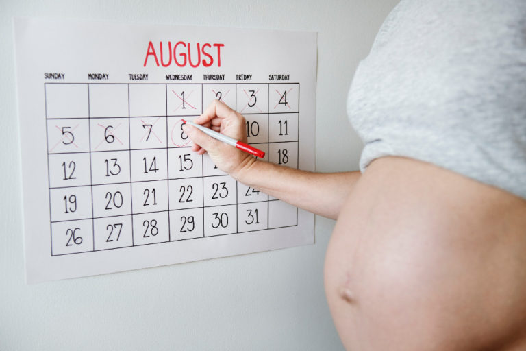 pregnancy week-by-week - calendar