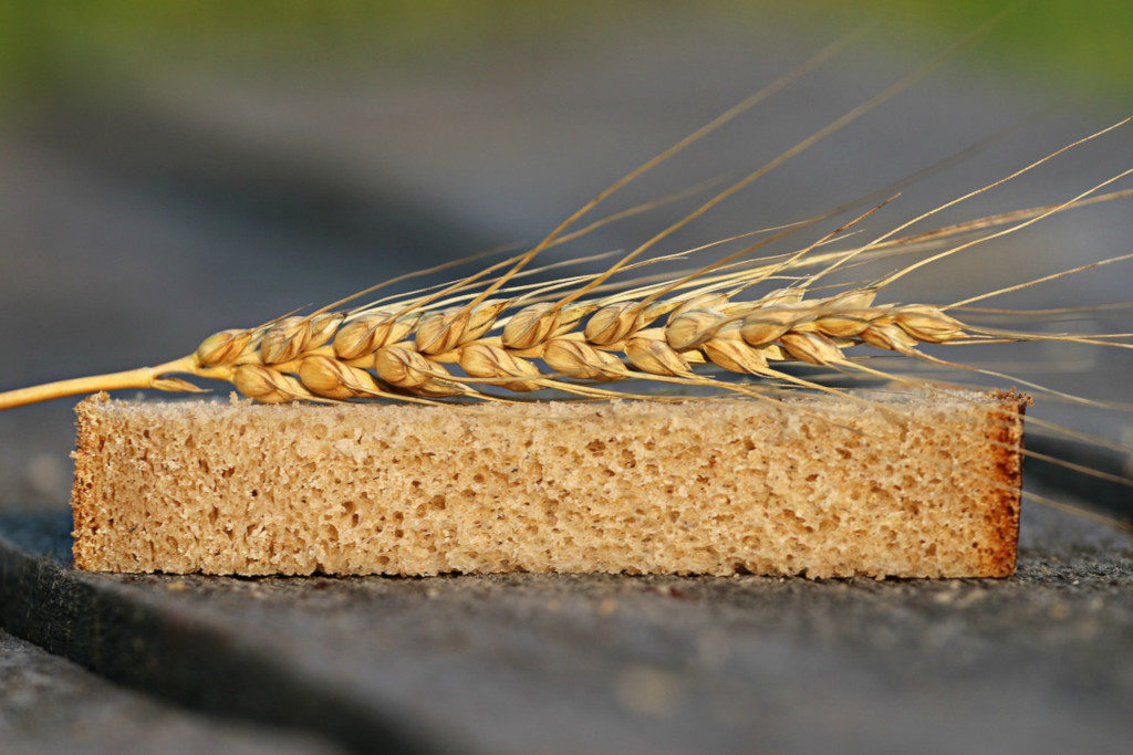 nourish the body - wheat bread