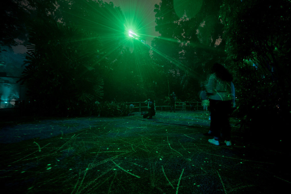 Rainforest Lumina Luminous Pathway