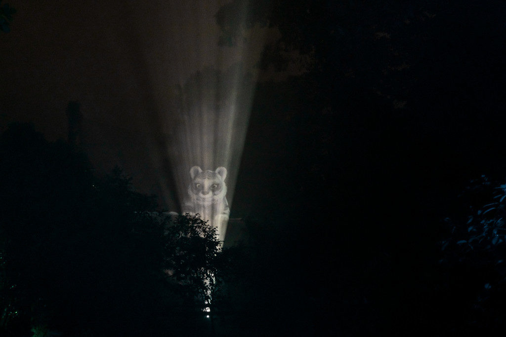 Rainforest Lumina Creature Crew