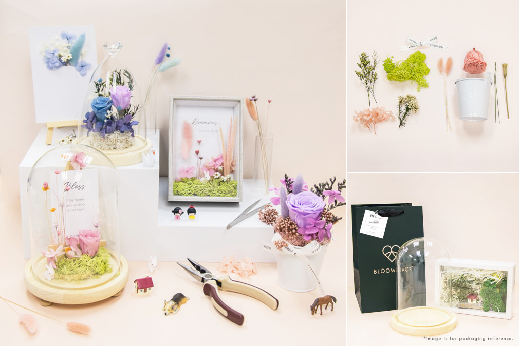 BloomBack DIY BBCraft Kits