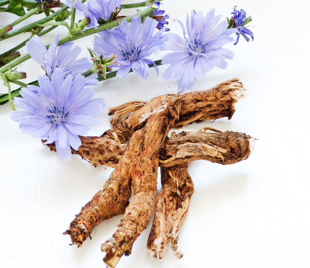 chicory root