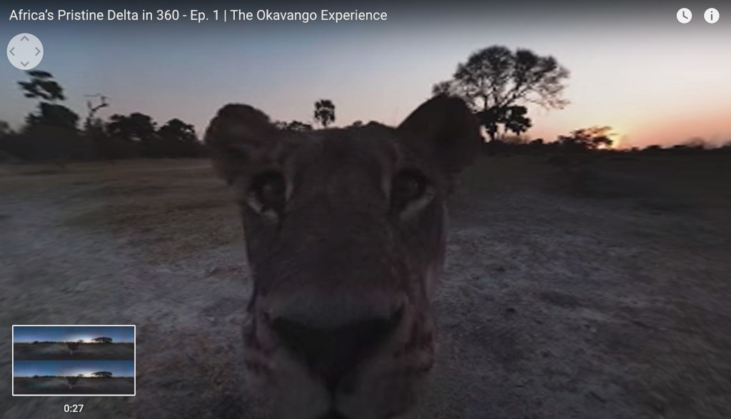 Google Earth/National Geographic VR experiences