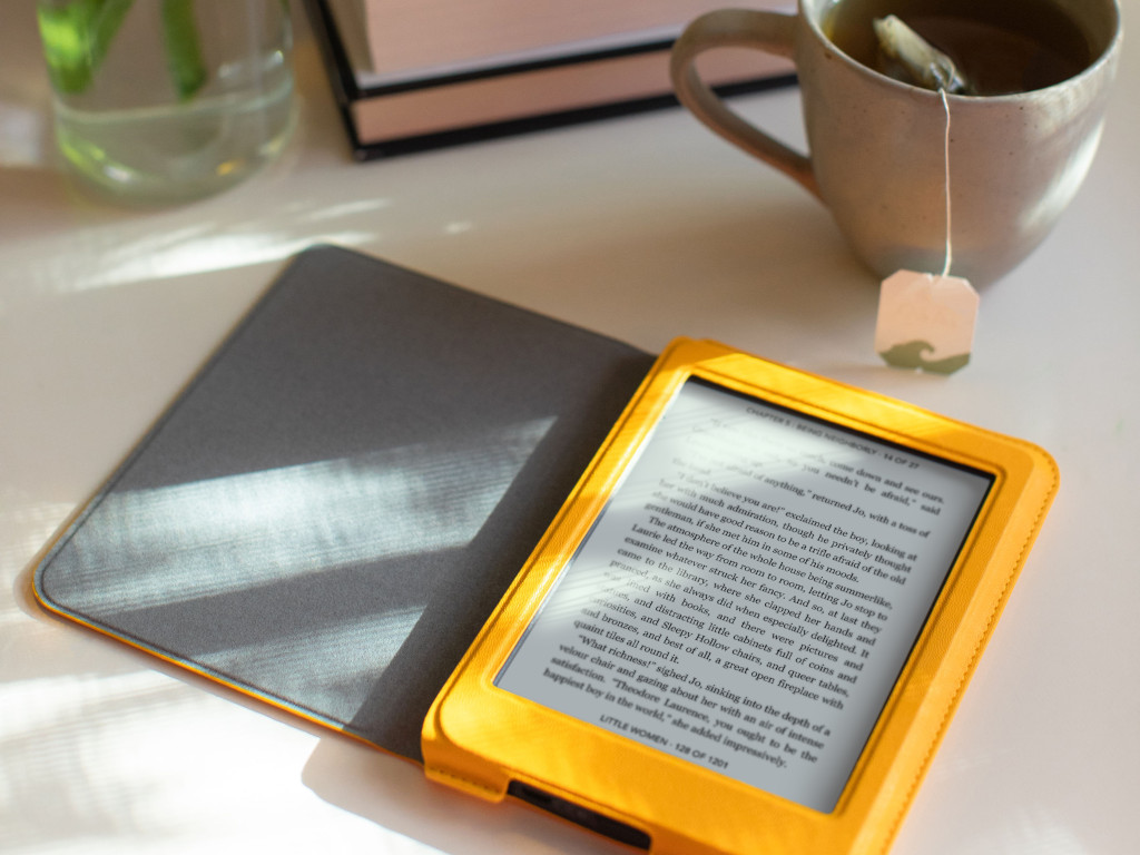 Christmas shopping - Rakuten Kobo Nia