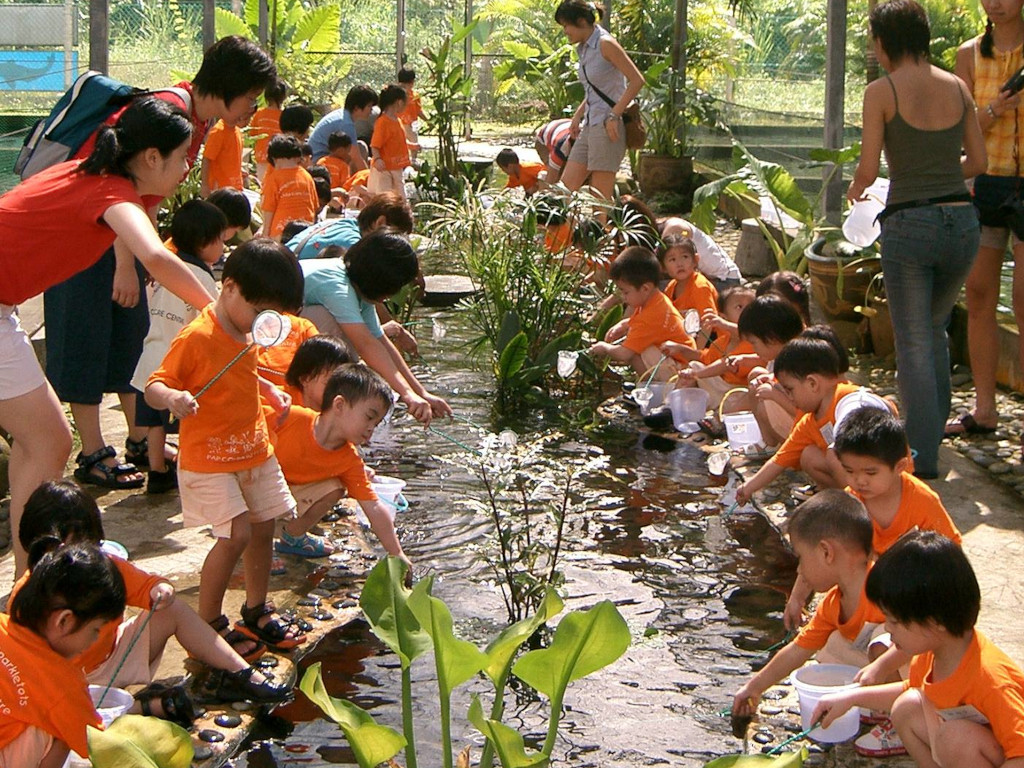 Mainland Tropical Fish Farm longkang fishing