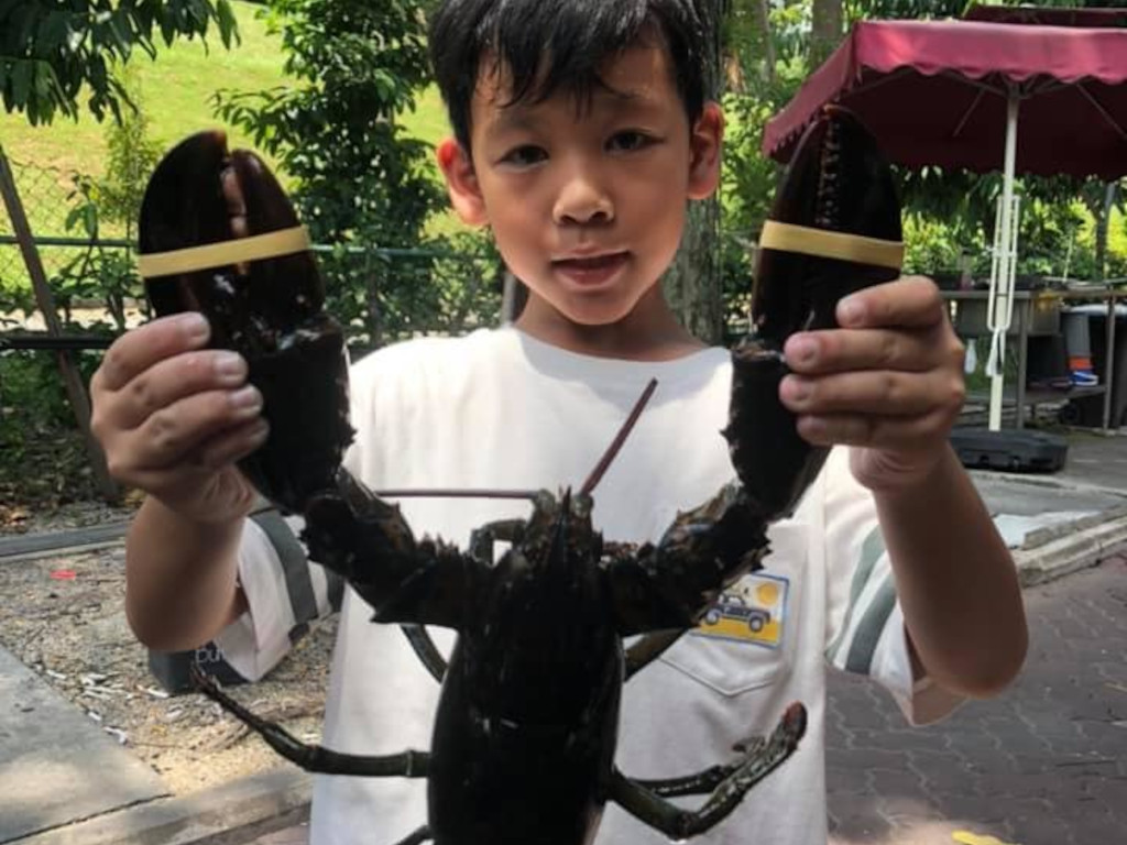 family-friendly fishing spots at ATC Fishing Village