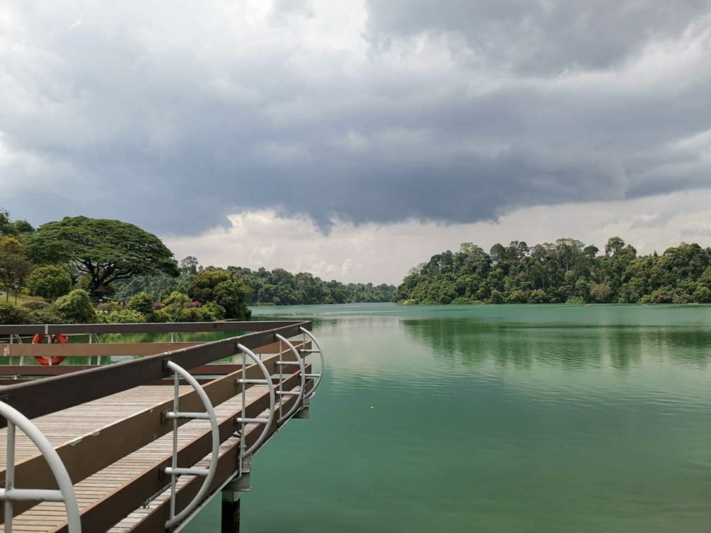 hiking trails in Singapore - MacRitchie Reservoir Park