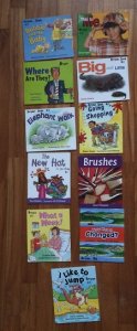 (2) Rigby Literacy Early 4 (11 books) - $10.jpg