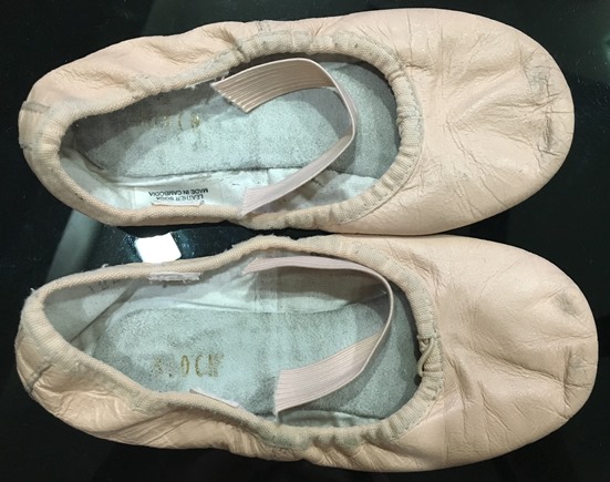 BalletShoe_DANSOFT_125.jpg