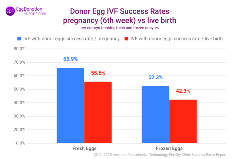 donor-egg-ivf-success-rate-comparison-768x512.png