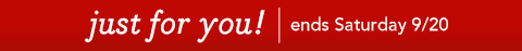 DS 15% off 1.gif