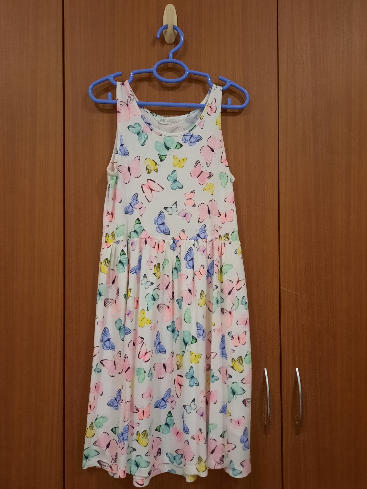 H&M Butterfly Dress 1.jpeg