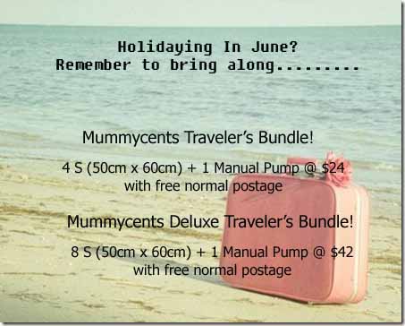 Mummycents Traveler's Bundle (June).jpg