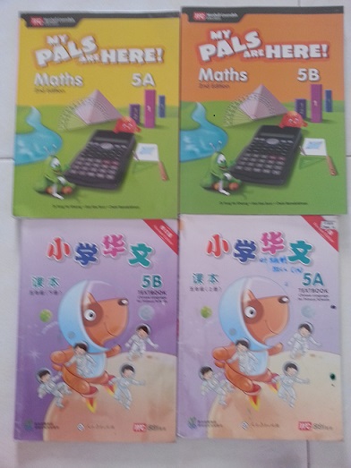 P5 Maths and Chinese.jpg