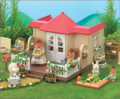 sfhouseextension1.JPG
