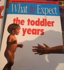 The Toddler Years Image.jpg