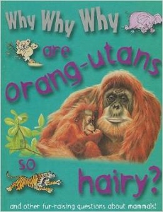 Why Why Why are Orangutans so hairy IMAGE.jpg