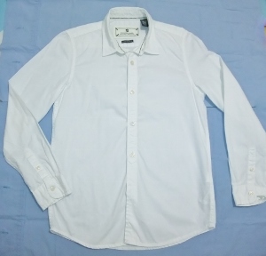 Zara White Pin Stripe Shirt Image.jpg.jpg