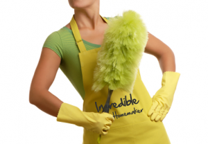 spring-cleaning - incredible Homemaker.png