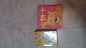 Flash Cards Chinese.jpg