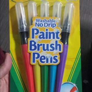 crayola paint front .jpg