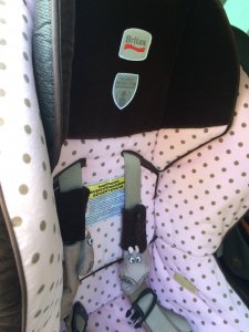 car seat 1.jpg car seat 1.jpg