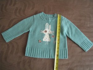 Fox sweater.JPG