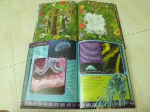 Book - 3D Spot What and Weird Animals View I.JPG