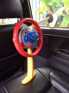 Back Seat Driver4.jpg