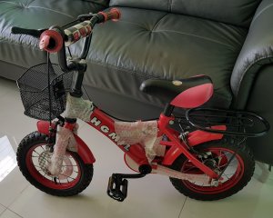 kid's bike.jpg