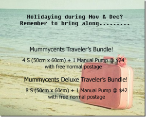 Mummycents Traveler's Bundle copy.png