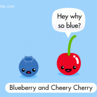 blueberrylove