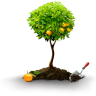 Cultivare