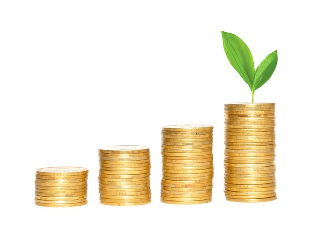 Savings, increasing columns of gold coins and green plant