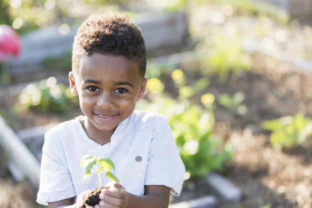 Sweet little boy holding seedling