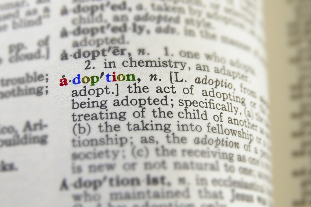 adopting a child in Singapore - the definitions